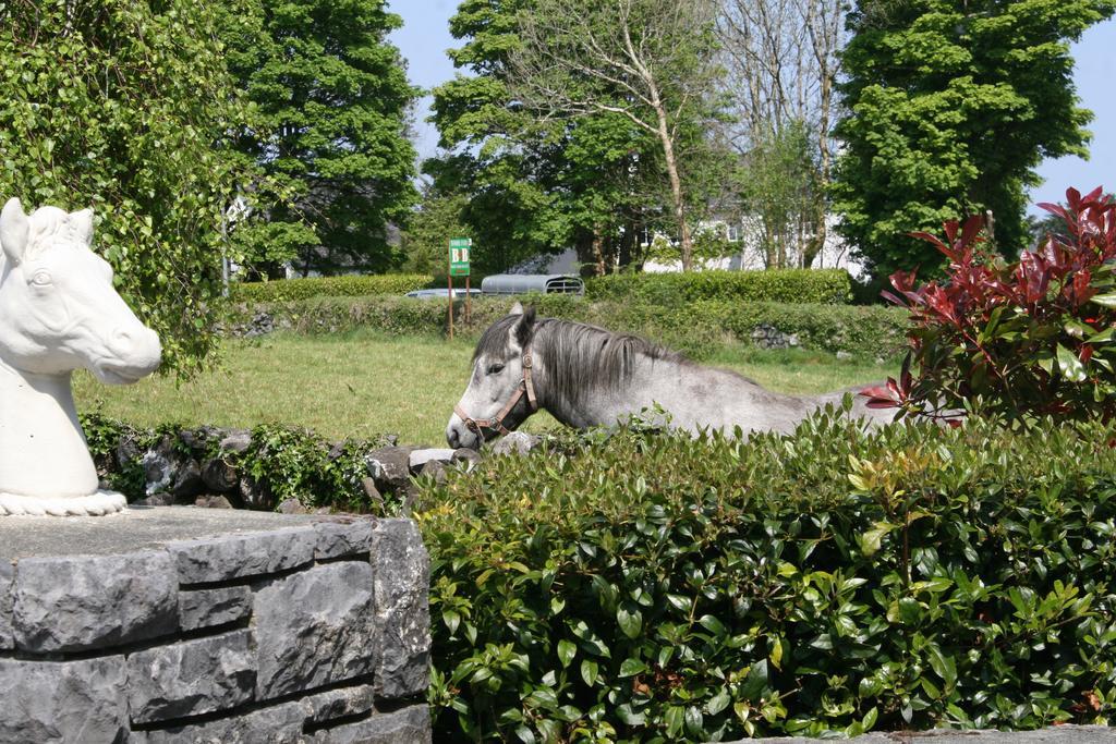 Carrowntober House B & B Oughterard Bagian luar foto