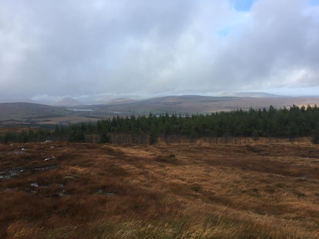 Carrowntober House B & B Oughterard Bagian luar foto